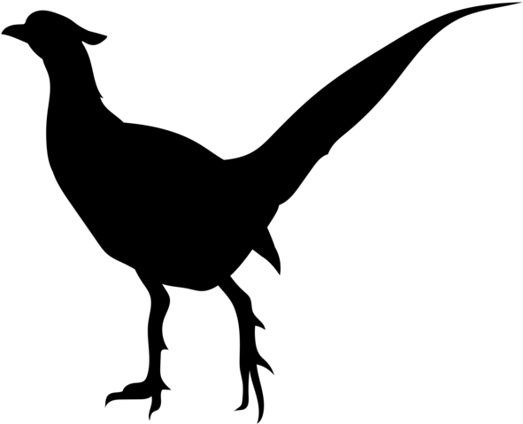 Bird Silhouette Png Transparent Clip Art Image - Pheasant Clip Art Transparent (600x485)