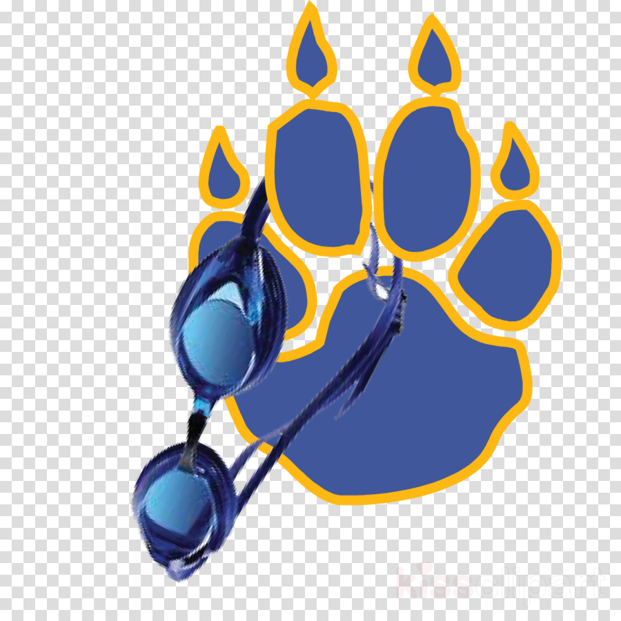 Klein High School Bearkats Clipart Sam Houston State - Vinyl Record Transparent Background (900x900)