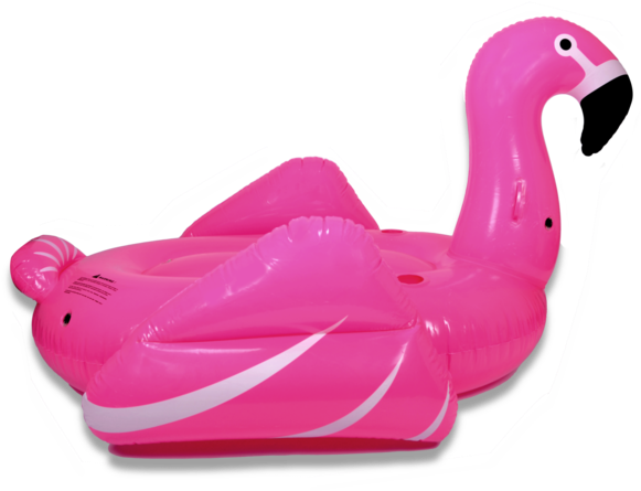 600 X 563 2 - Transparent Flamingo Float Png (600x563)