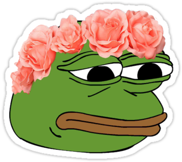 Flower Crown Pepe Frog M ♡ Memes Pinterest Flower Crowns - Pepe Feels Good Man Gif (375x360)