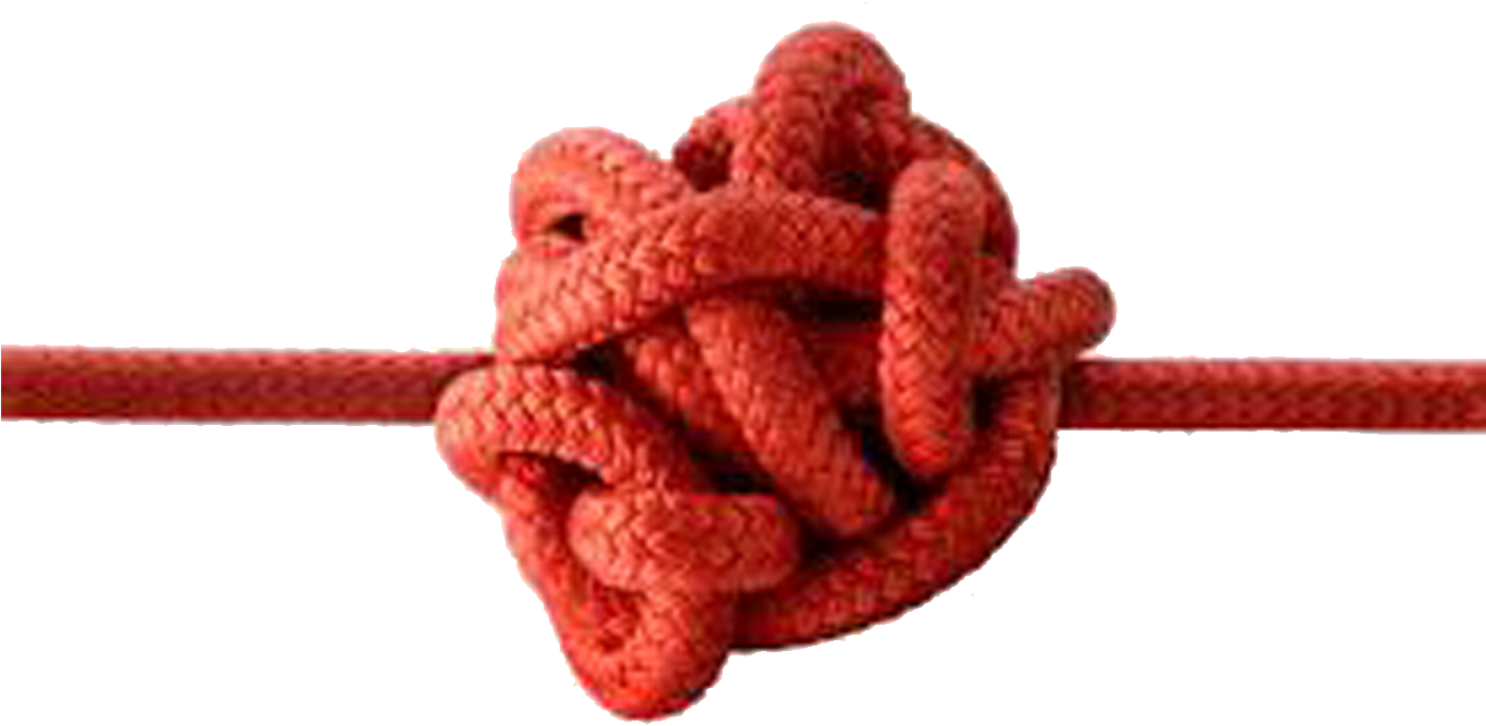 My Stomach Was In Knots - Rose (2480x3508)