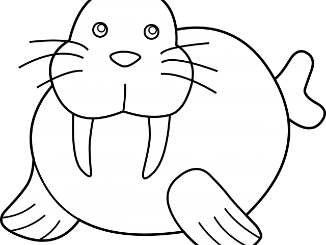 Walrus Clipart Otter - Walrus Clipart Black And White (640x480)