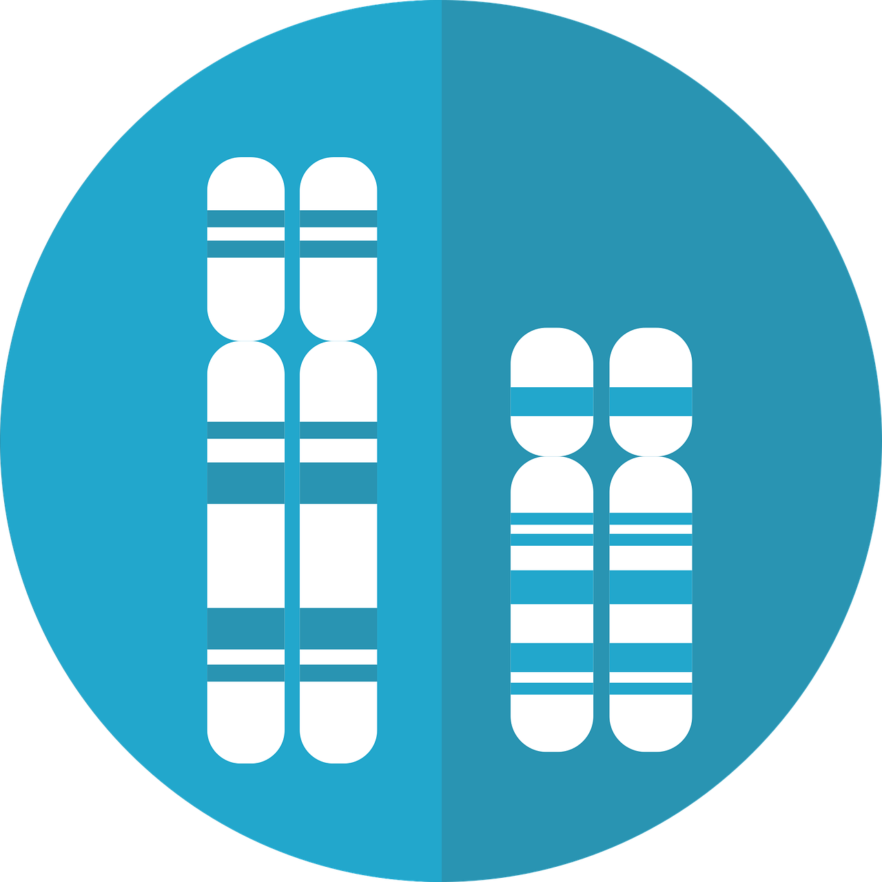 A Single Person's Dna When Unwound Is Roughly 2 3 Meters - A Single Person's Dna When Unwound Is Roughly 2 3 Meters (1280x1280)