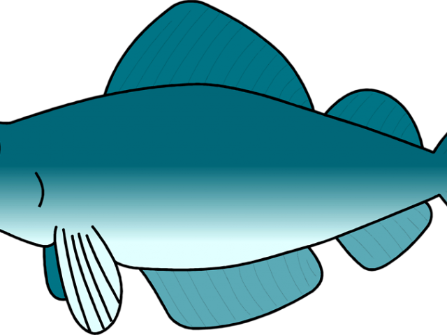 Call Of Duty Clipart Animated Fish - Call Of Duty Clipart Animated Fish (640x480)