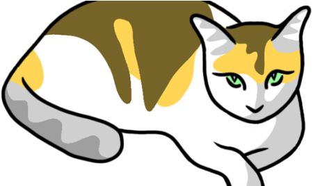 We Have Launched Sukipop, A Concept Of A Decentralized - We Have Launched Sukipop, A Concept Of A Decentralized (480x267)