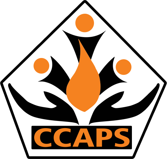 Certificate Course In Digital Marketing Chowgule College - Certificate Course In Digital Marketing Chowgule College (533x510)