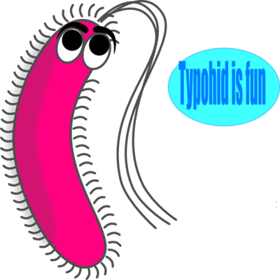 What Does Reproductive Success For The Bacteria Mean - What Does Reproductive Success For The Bacteria Mean (400x399)