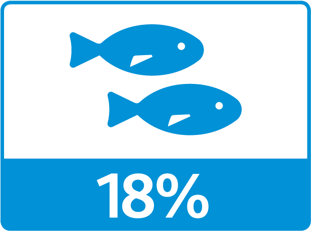 Aquatic Wildlife Ideas Include - Aquatic Wildlife Ideas Include (640x480)