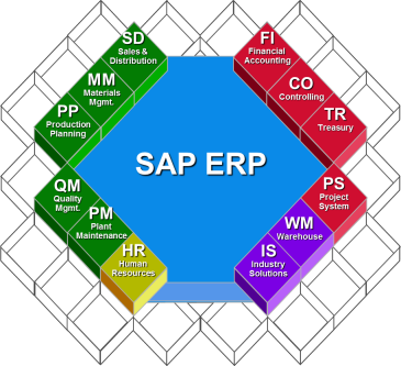 Sap Server Trial Versions Are Restricted And Can Only - Sap Server Trial Versions Are Restricted And Can Only (365x333)