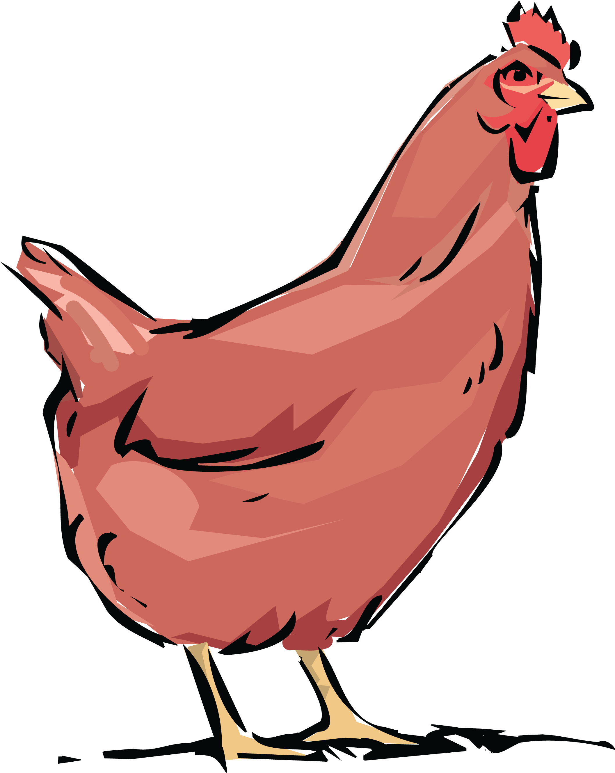 Free Clipart Of A Chicken Hen - Hen And Rooster With Chickens Tote Bag (4000x4000)