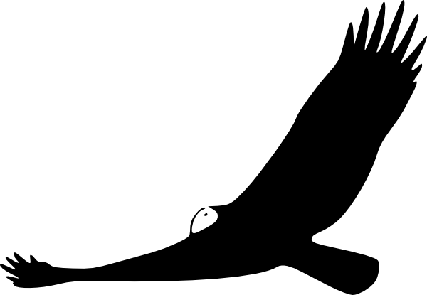 Turkey Vulture Clip Art Free Vector - Turkey Vulture Clipart (600x415)