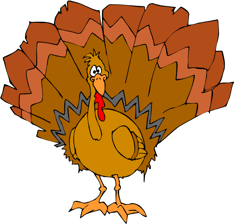 New @ Mpl - Thanksgiving Turkey (750x726)