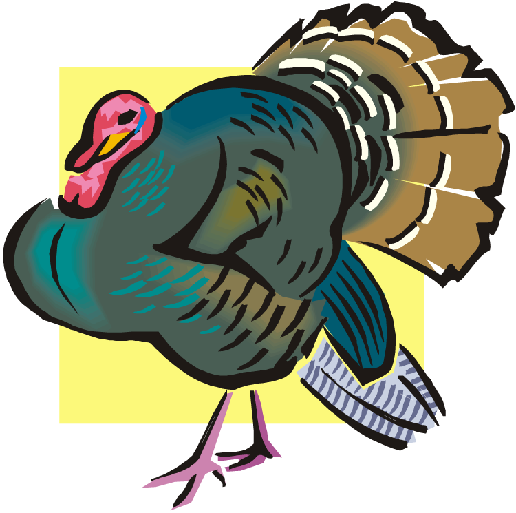 Domesticated Turkey (750x745)