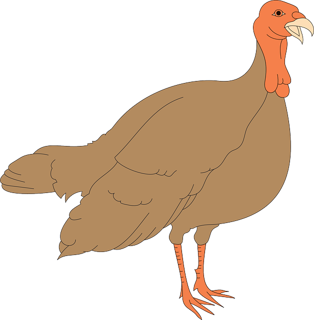 Thanksgiving, Turkey, Bird, Wings , Clipart - Turkey Hen Clipart (628x640)