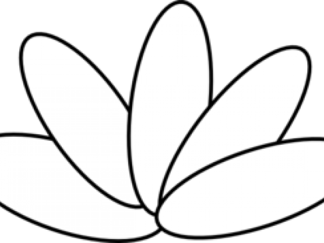 Turkey Feathers Clipart - Vector Marketing (640x480)