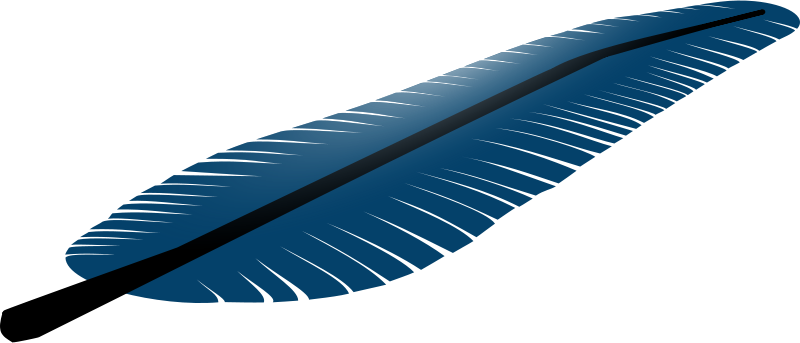Blue Feather Clip Art (800x343)