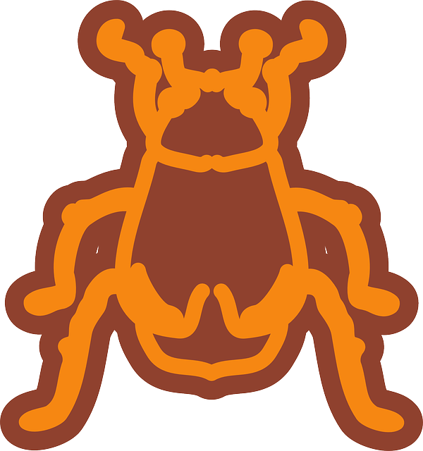 Top, View, Style, Art, Insect, Beetle, Legs - Clip Art (600x640)
