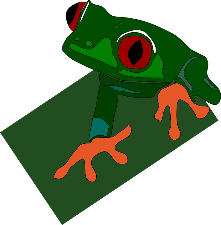 Red, Eye, Frog, Green, Feet, Animal, Eyed, Sticky, - Frog Clip Art (735x750)