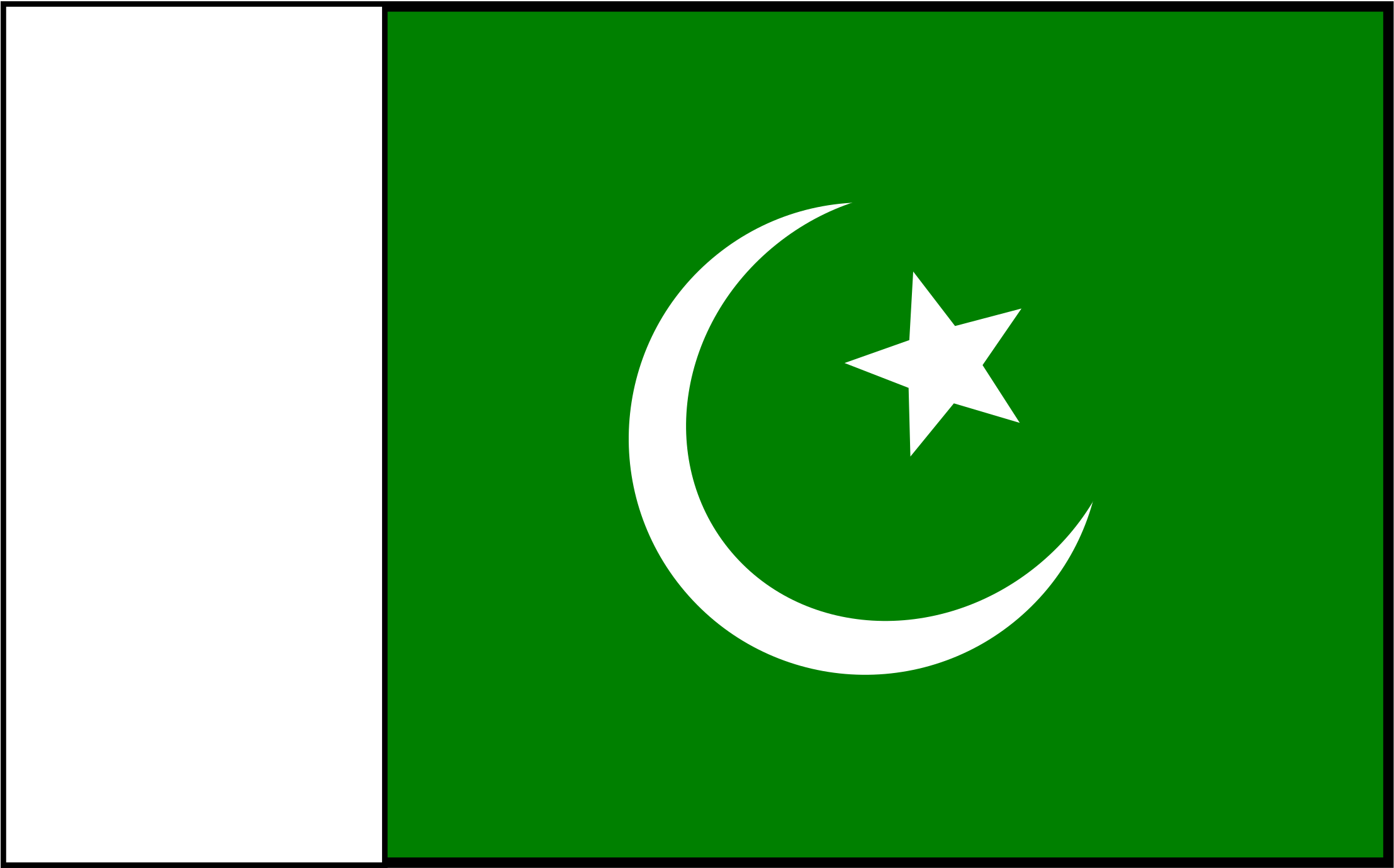 Pakistan Flag Clipart - Pakistan Flag Icon Png (2400x3394)