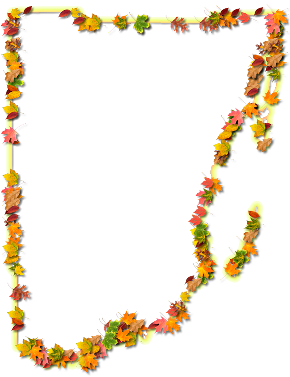 Suitable For The Following Themes - Floral Design (590x768)