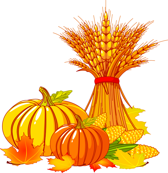 Harvest - Corn Stalks And Pumpkin Clipart (581x600)