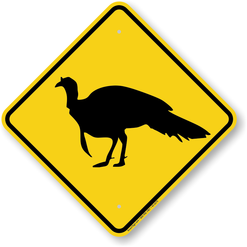 Zoom, Price, Buy - Slope Clipart (800x800)