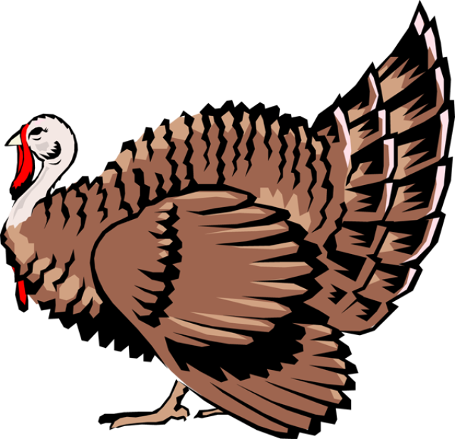 Farm Turkey Cliparts - Turkey Free Clip Art (639x617)