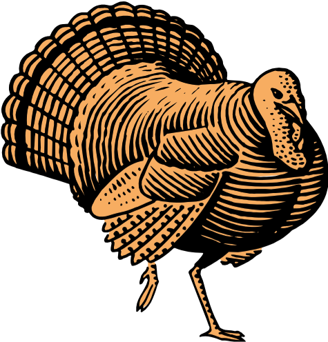 Contact Anne Stricherz For More Information Or See - Turkey (475x496)