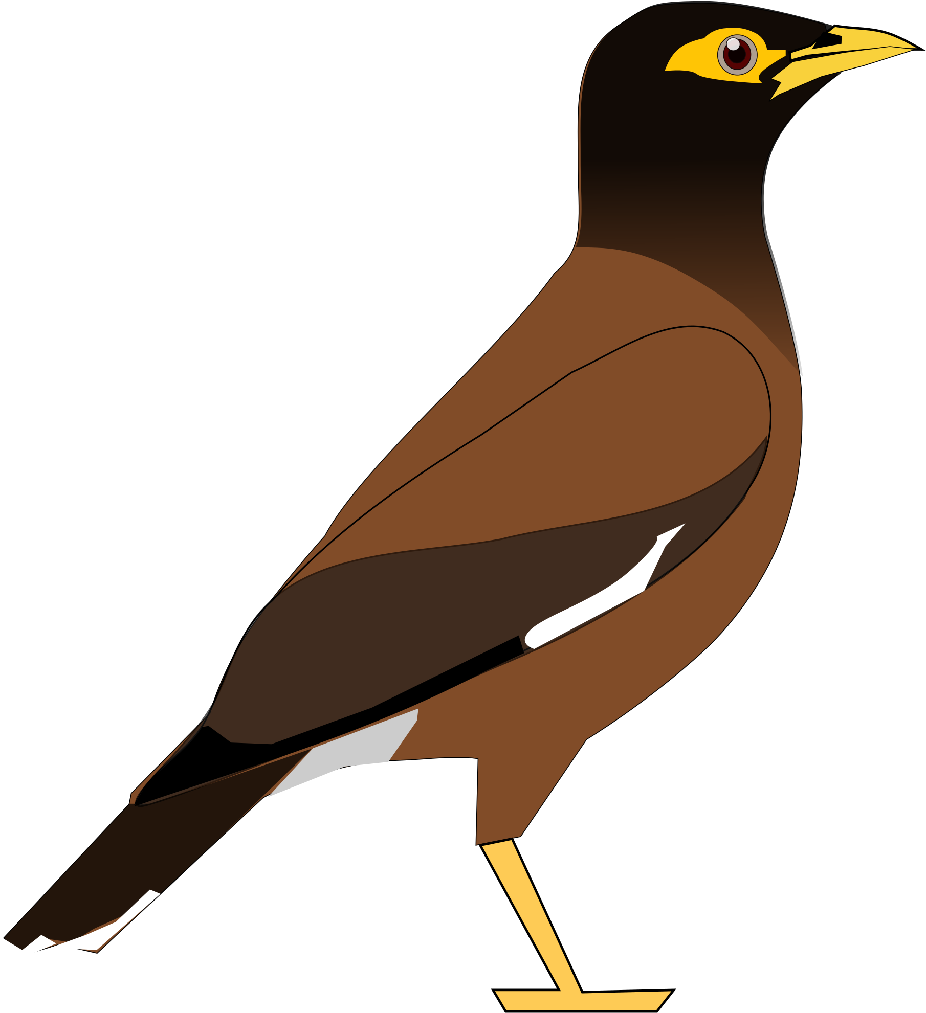 Common Myna Bird Common Hill Myna Clip Art - Mynah Png (2000x2172)