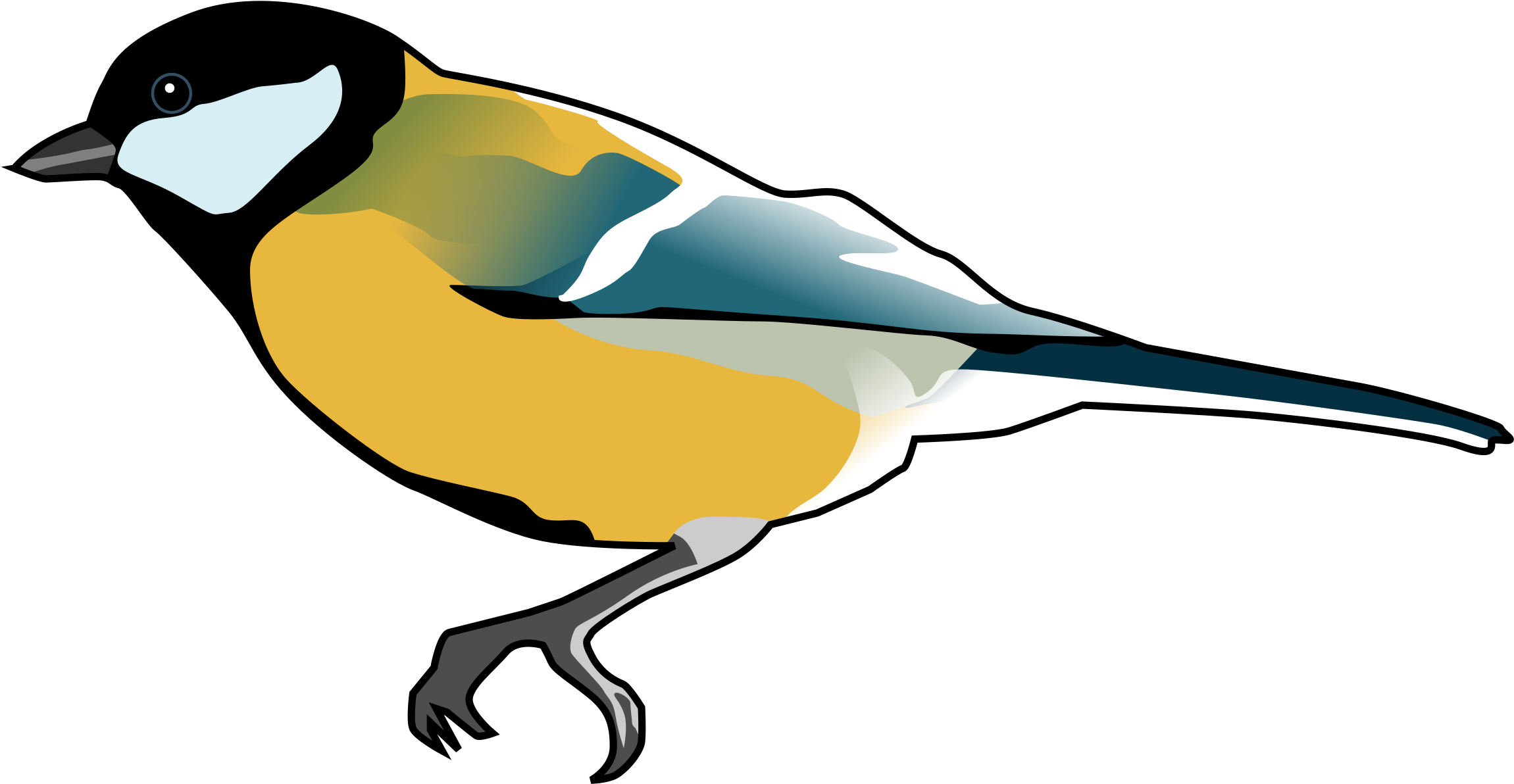 Big Image - Tit Clipart (2400x1302)