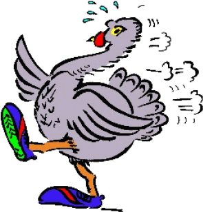 Turkey Trot - Turkey Trot (553x311)