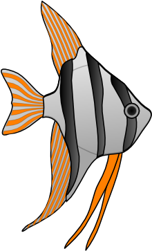 Fish With Orange Stripes Clip Art At Clker - Cartoon Angel Fish (600x362)