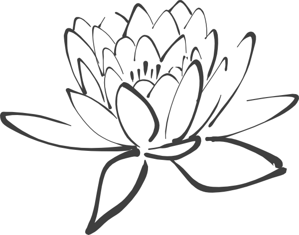 Lotus Flower Outline - Black And White Lotus (600x472)