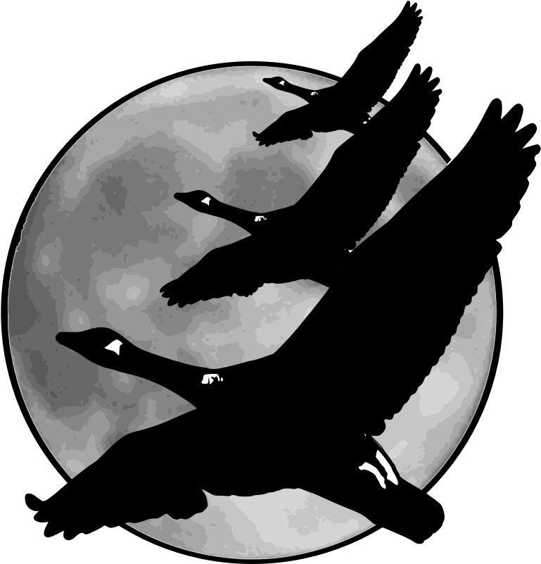 Geese In Front Of Moon Svg Clip Arts 570 X 594 Px - Canadian Geese Shower Curtain (800x800)