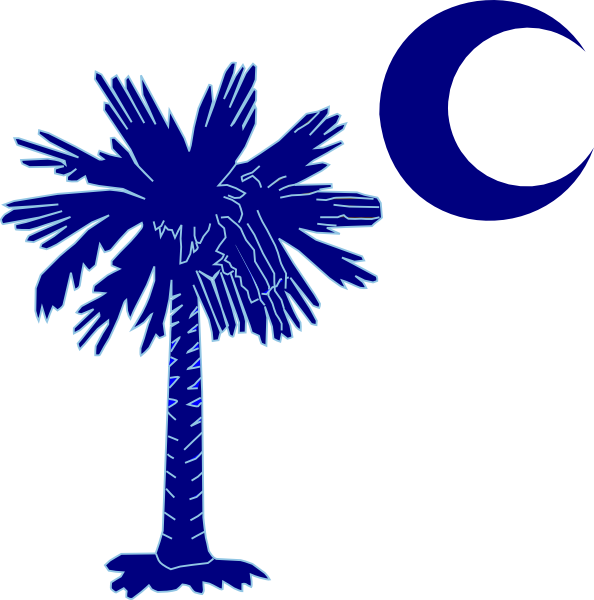 Palmetto Tree And Crescent Moon (594x600)