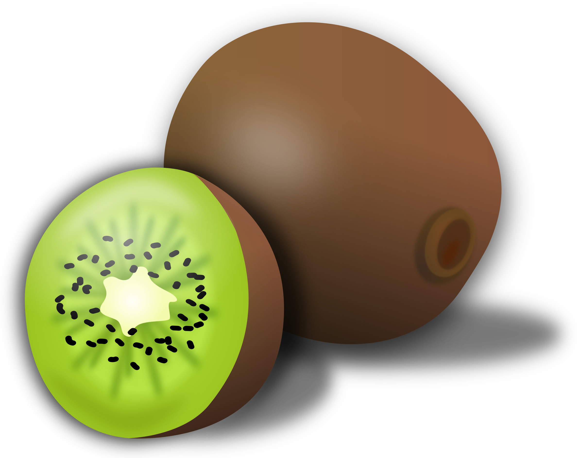 Kiwi 1979px 822 - Kiwi Fruit Clipart (2400x1907)
