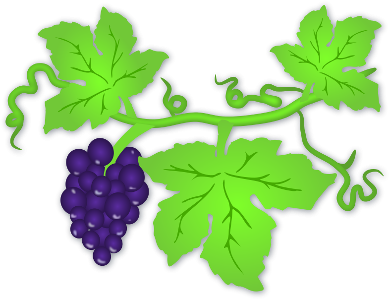 Vine Leaves Clip Art (800x614)