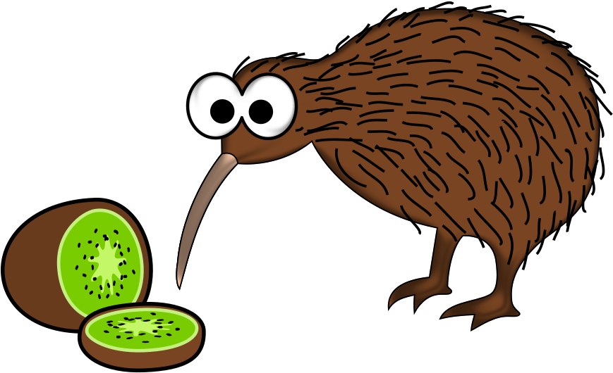 Medium Image - Kiwi Bird And Kiwi Fruit (1000x608)