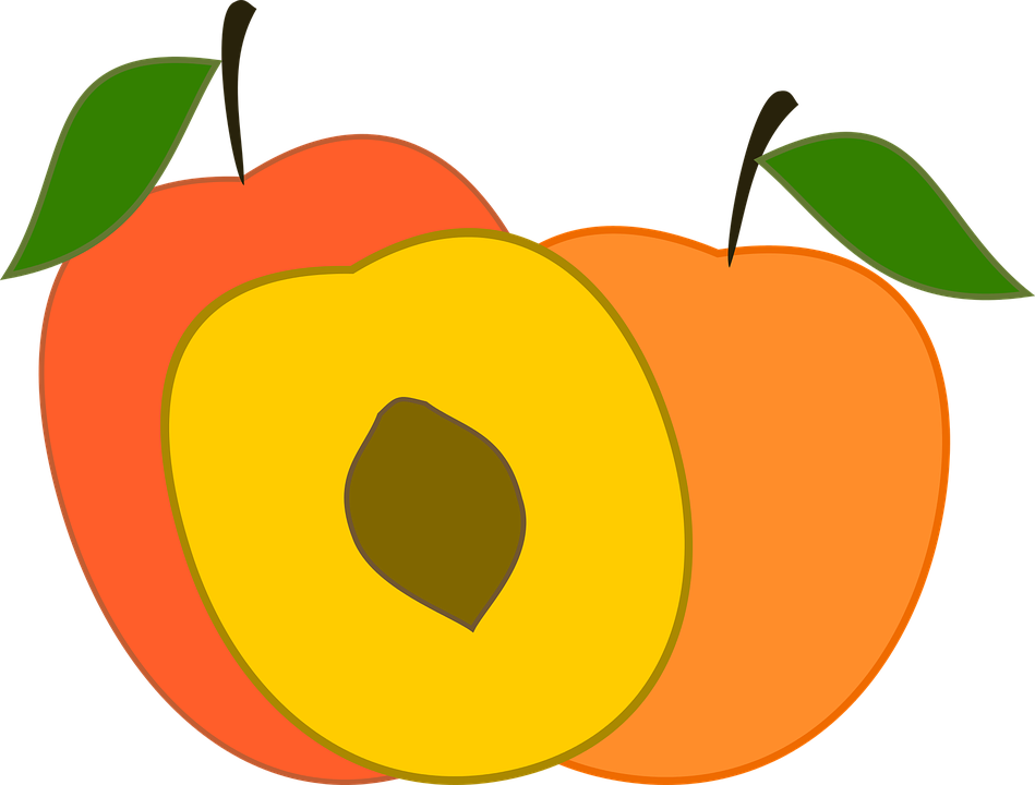 Peach Clipart Friuts - Peach Vector Png (949x720)