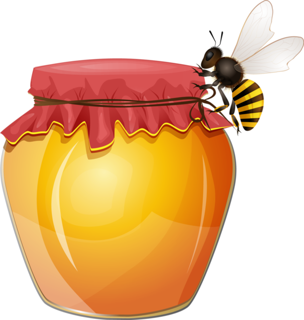 Bee Clipartfood Clipartbee Keepingdragon - Bee On Honey Vector (600x632)