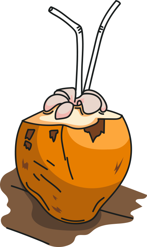 Sri Lanka - Sri Lanka (476x800)