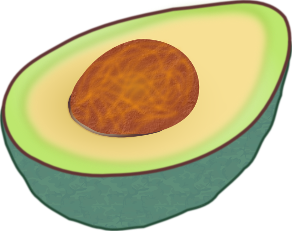 Avocado Clip Art (600x475)