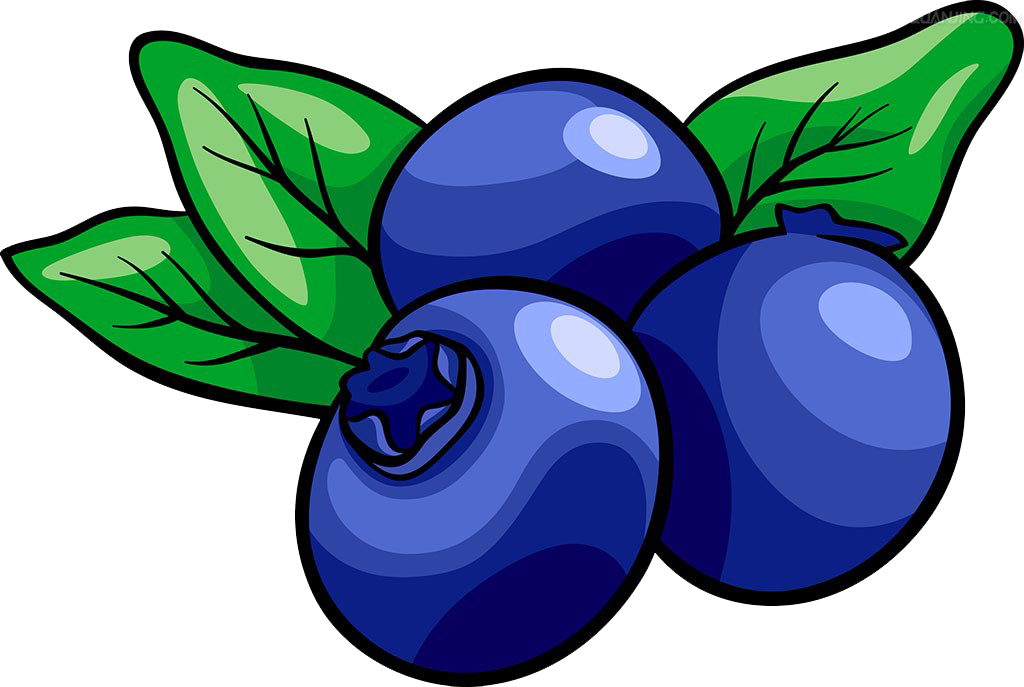 Muffin Blueberry Royalty-free Clip Art - Blueberry Vector (1024x687)
