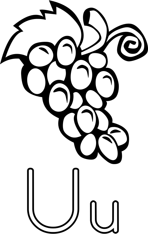 Grapes Images Black And White (505x800)