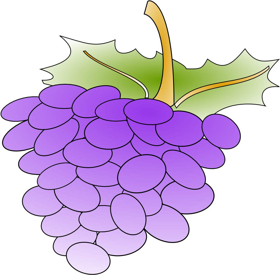 Grapes - Cartoon Grapes (1000x985)