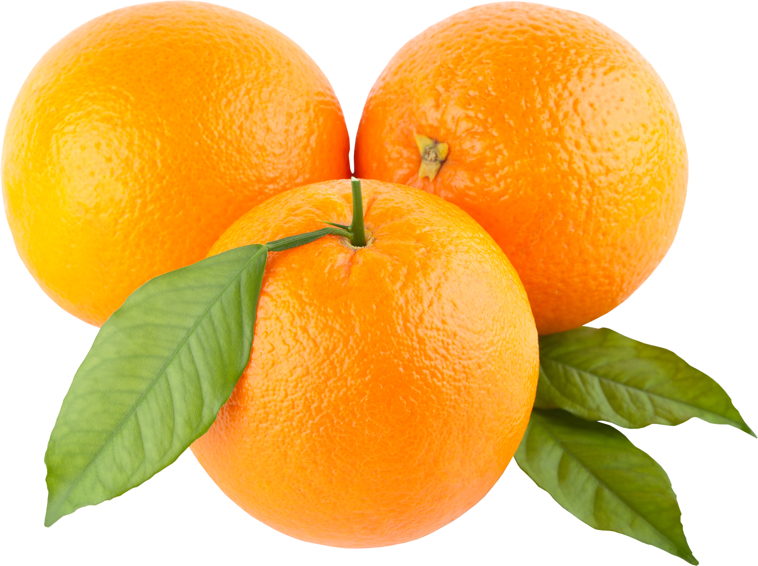 Orange Png Picture - Juicer Orange Manual Squeezer Lime Lemon Heavy Duty (2572x1923)
