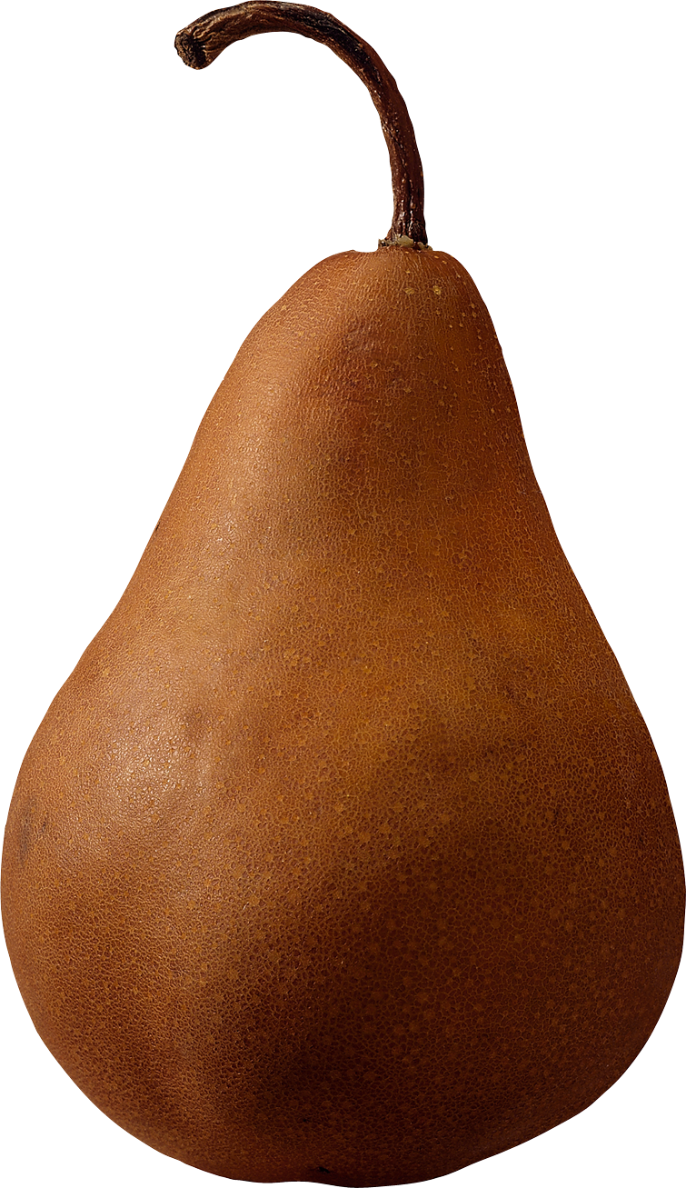 Brown Pear Png Image - Brown Pear (755x1307)