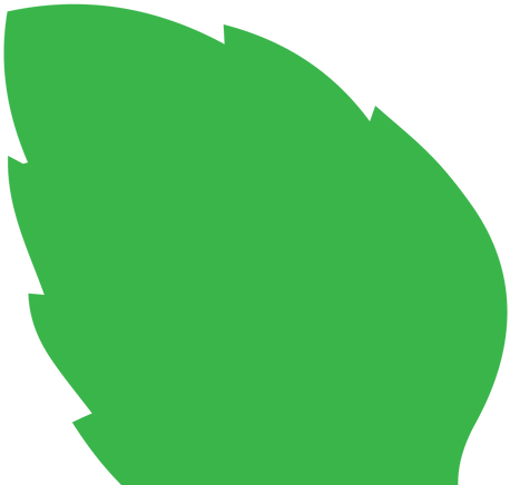 With Us, You Can Trust That Each Pizza Is Filled With - Basil Boss (490x454)