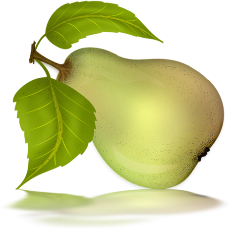 Pear 9 - Avocado (500x482)