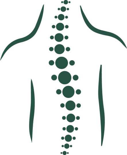 Our Spinal Cord Injury Lawyers Can Help If You've Had - Spinal Cord Clip Art (442x538)